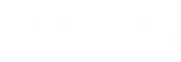 Vans logo