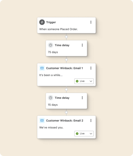 A Klaviyo customer winback flow triggered when some placed an order