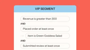 VIP segment criteria: Revenue over 300, placed order, item is Green Goddess Salad, submitted review.