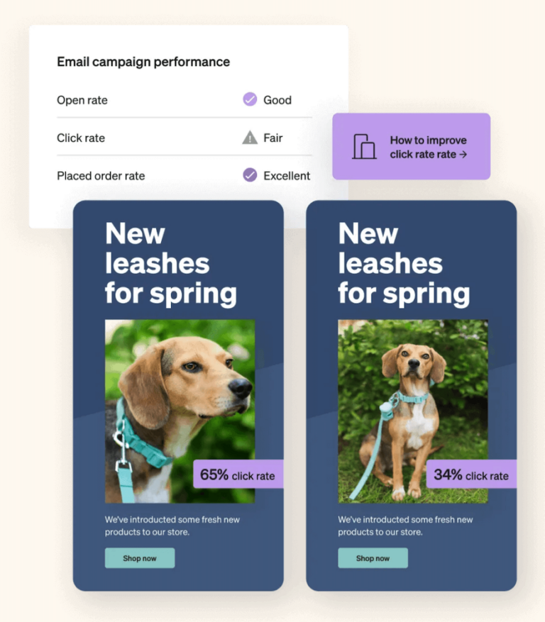 Image shows an example of an A/B test you can run within Klaviyo: two different pet store emails featuring the same copy, but different images of a dog.