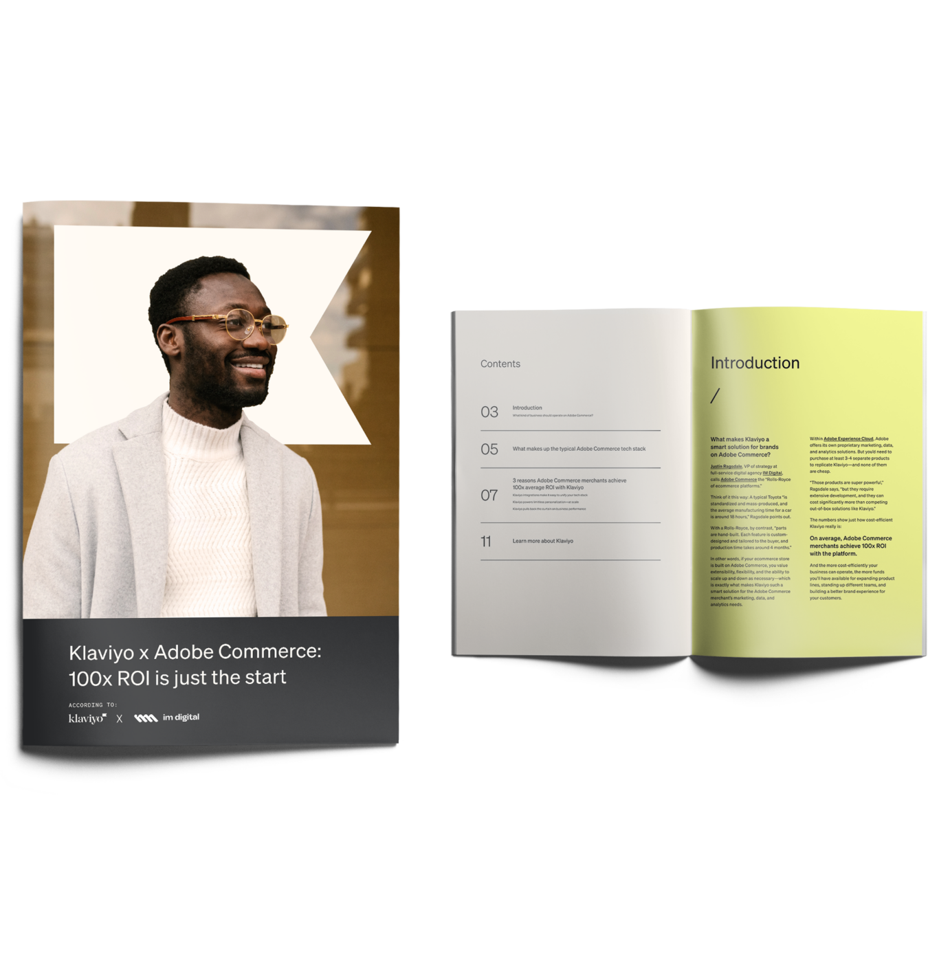 cover page and inside preview of the adobe guide