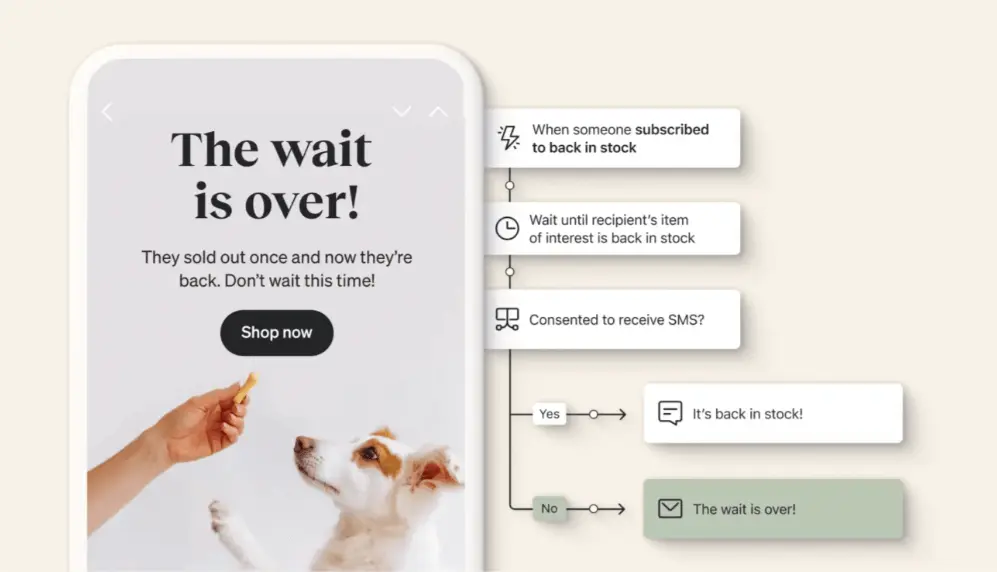 Image shows an example of a back-in-stock email for a segment of customers who are “subscribed to back in stock” and not consented to receive SMS. The email reads, “The wait is over!” over a product shot of a dog standing on its hind legs for a treat.