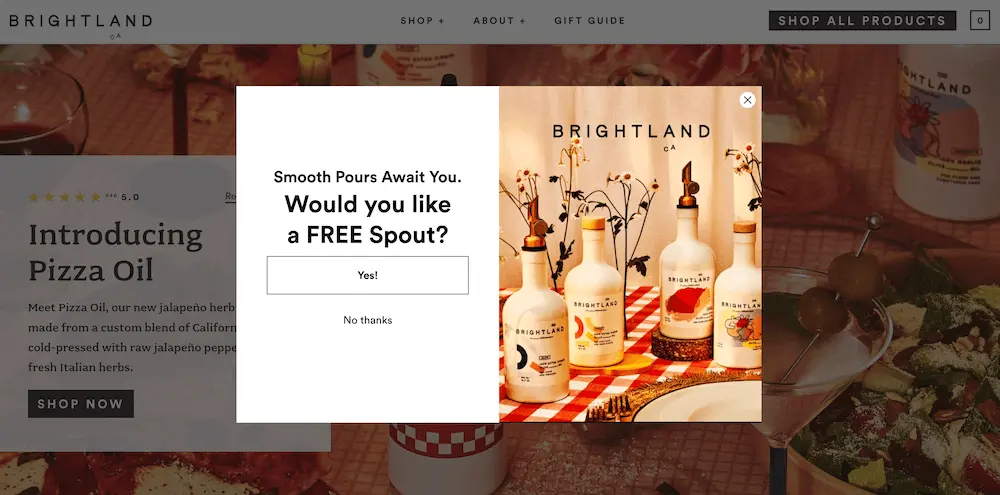 Image shows first page of a multi-step email pop-up from Brightland, which offers a free gift in exchange for the visitor’s contact information.