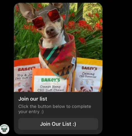 Image shows a DM from Bailey’s to a follower with a picture of a dog wearing sunglasses and a bandana with text that reads “Join our list: click the button below to complete your entry”