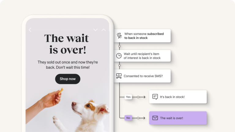 Back-in-stock email captioned The wait is over, next to reminder flow build-out