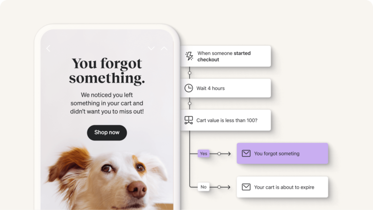 Pet brand's abandoned cart email telling shoppers You forgot something, next to abandoned cart series flow chart