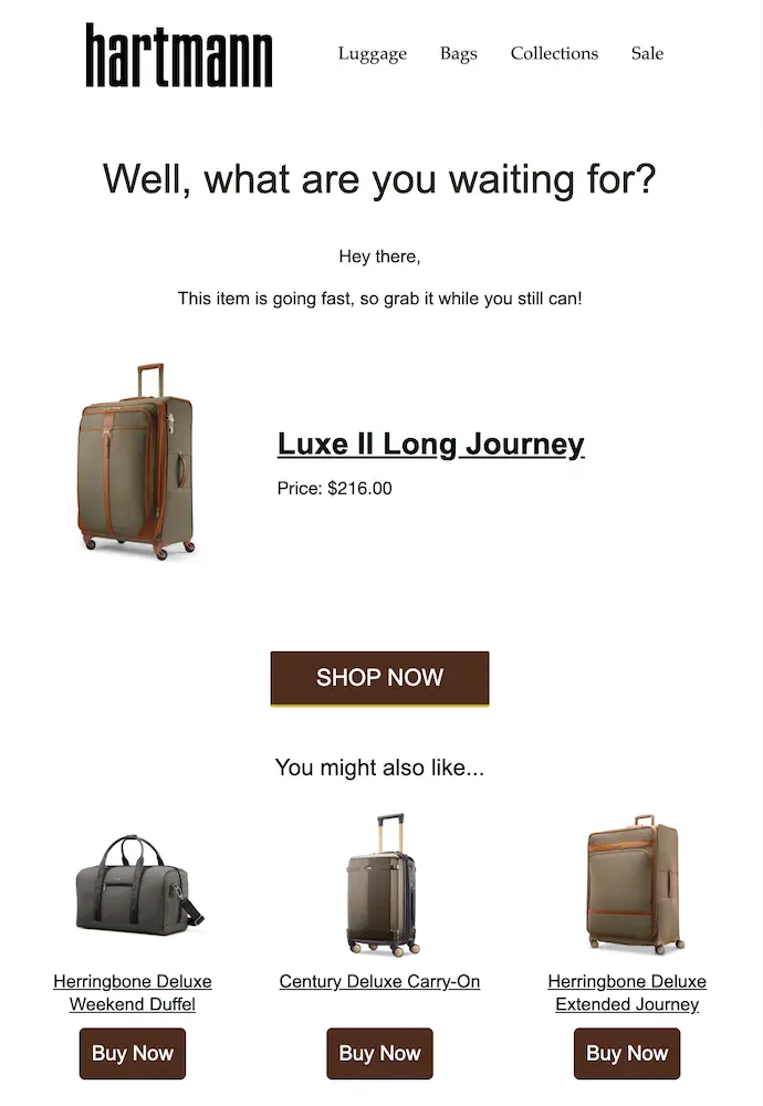 Image shows an abandoned cart email from Hartmann Luggage, which reads, “well, what are you waiting for?” In addition to including an image of the product the shopper left behind, the price, and a “shop now” CTA button, the email includes a section called “you may also like” featuring personalized product recommendations for up- and cross-selling.