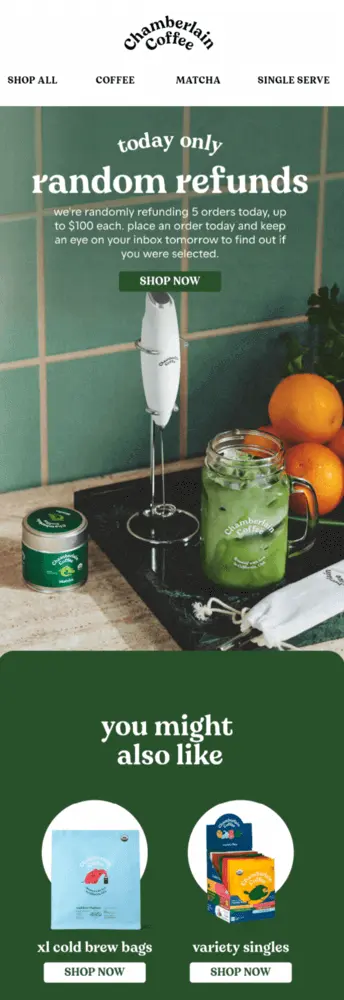 Image shows a white-handled frother with a metal stem. Beside it is a mason jar full of green matcha and milk, on a counter with oranges and a tin of Chamberlain Coffee matcha powder. One “You might also like” panel follows, with an image of a baby blue cold brew pouch and a box of pouches of various colors.