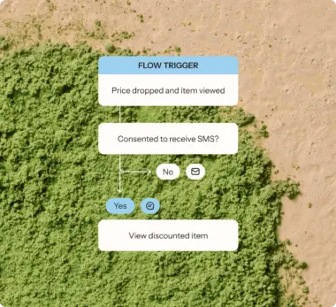 Snippet of a flow, showing the trigger of "price dropped and item viewed" with an email or SMS option based on customer having consented to receive SMS, all against a background of green powder on a brown surface